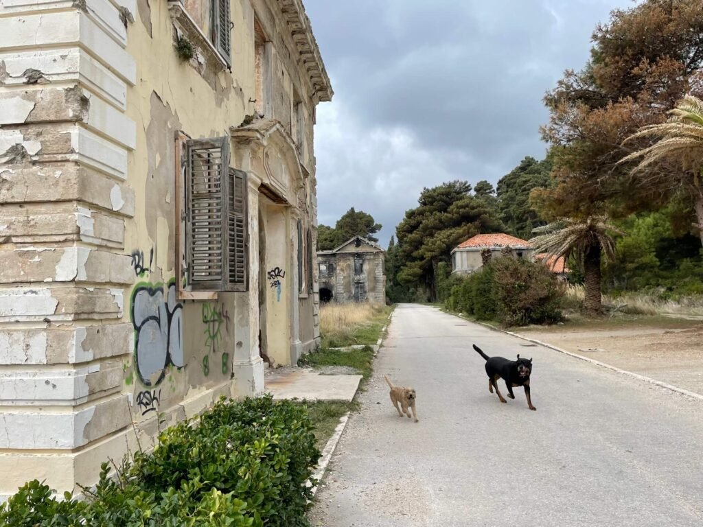 kupari beach resort 5