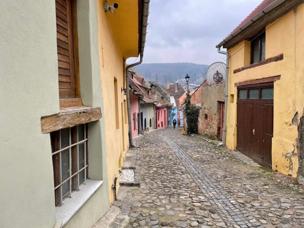sighisoara old town fleurig
