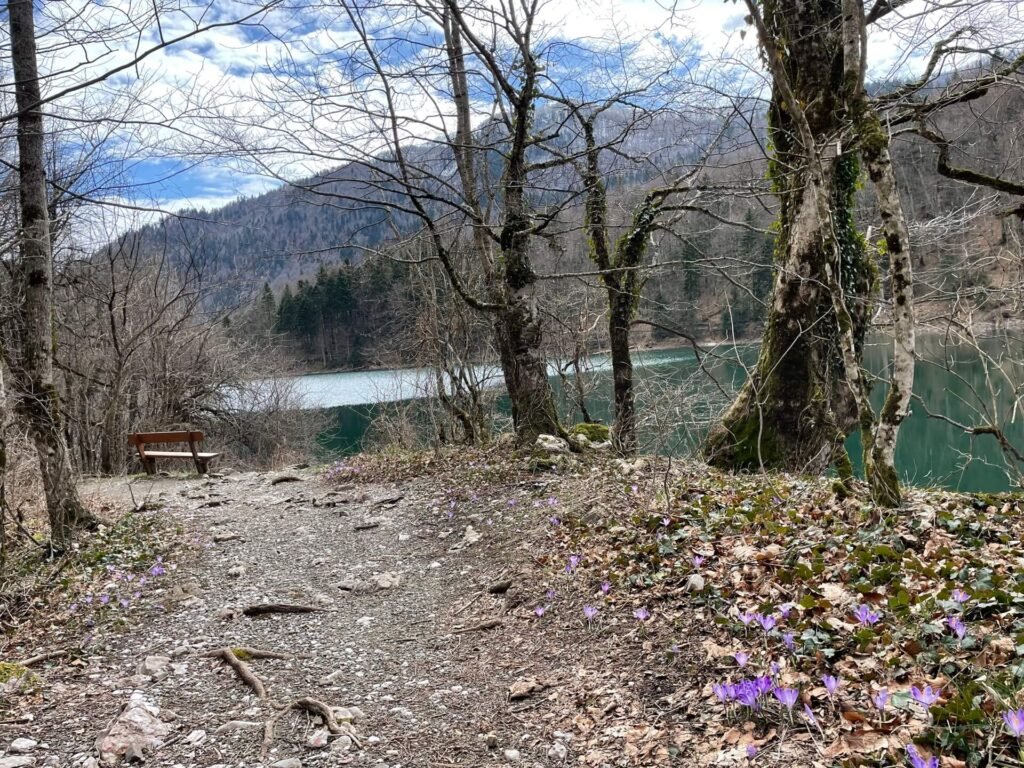 Biogradska Gora lake