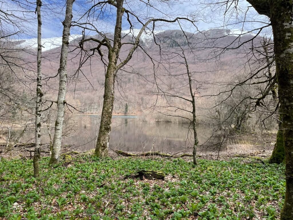 Biogradska Gora winter