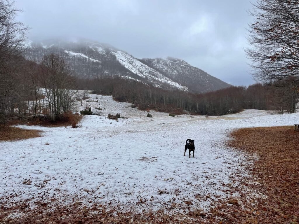 Durmitor dan sta je opeens in de sneeuw