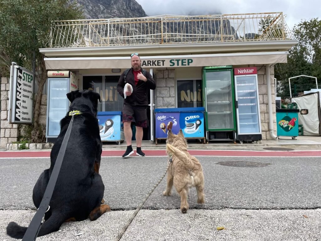 kotor honden martijn brengt broodje