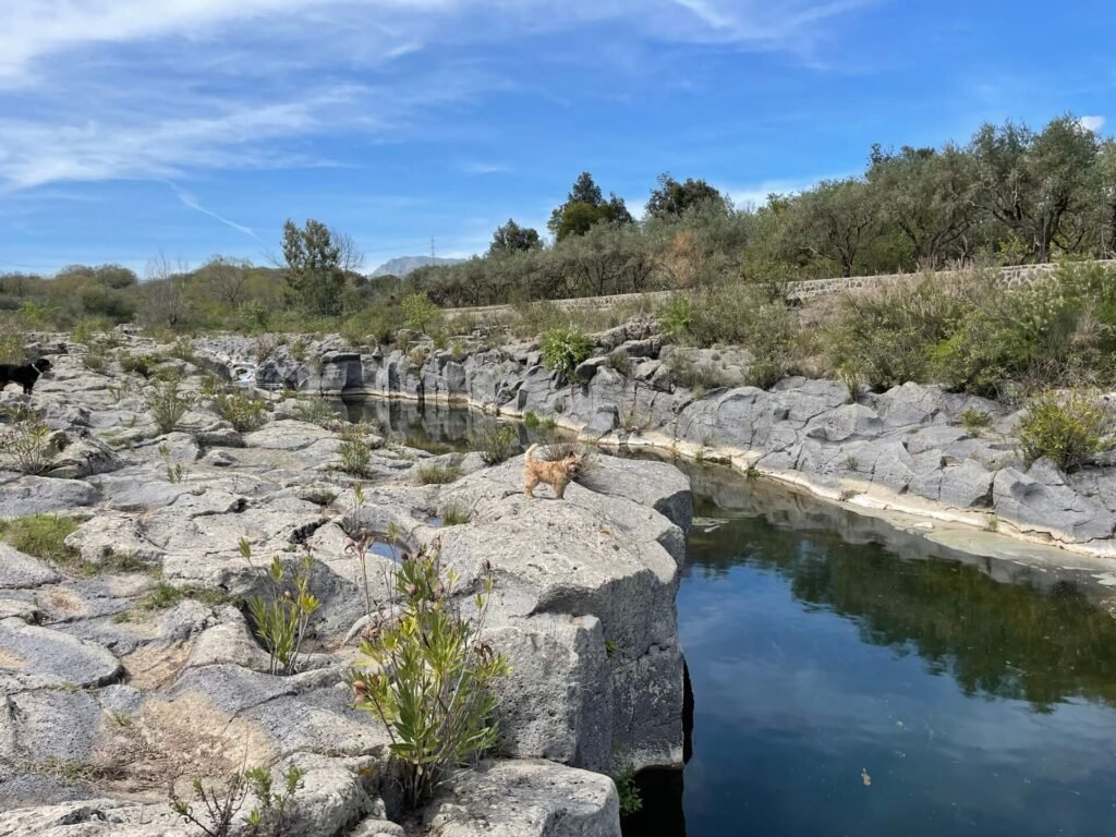 alcantara kloof view