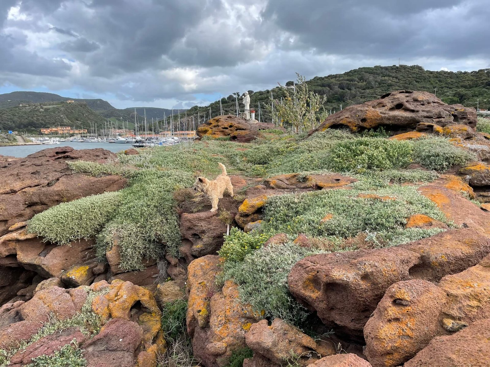 castelsardo haven james
