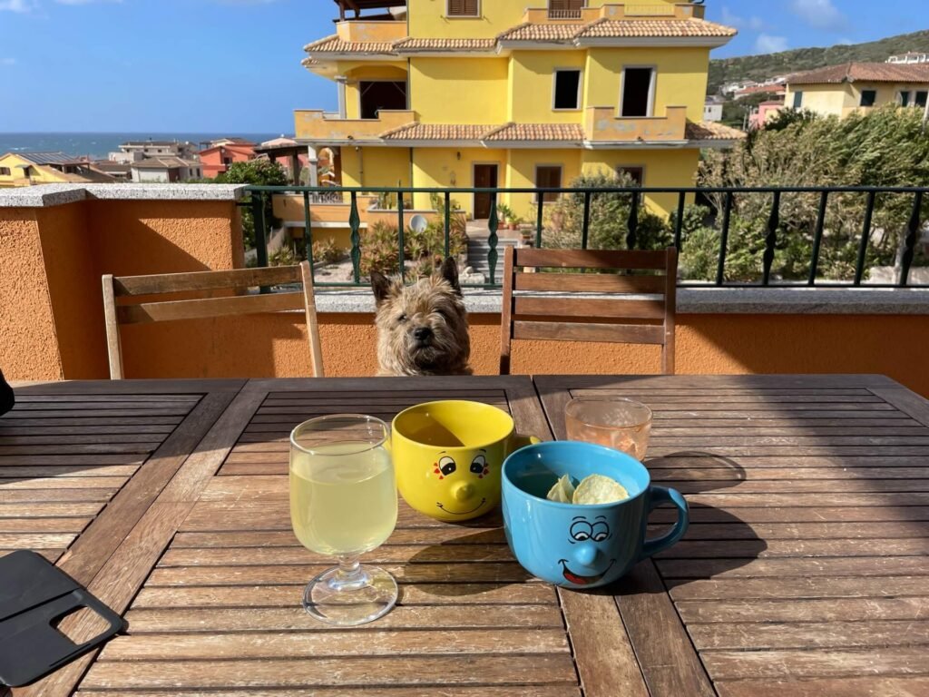 castelsardo jarig feestje