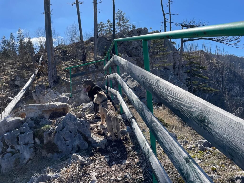 durmitor tarakloofwandeling honden uitzichtpunt