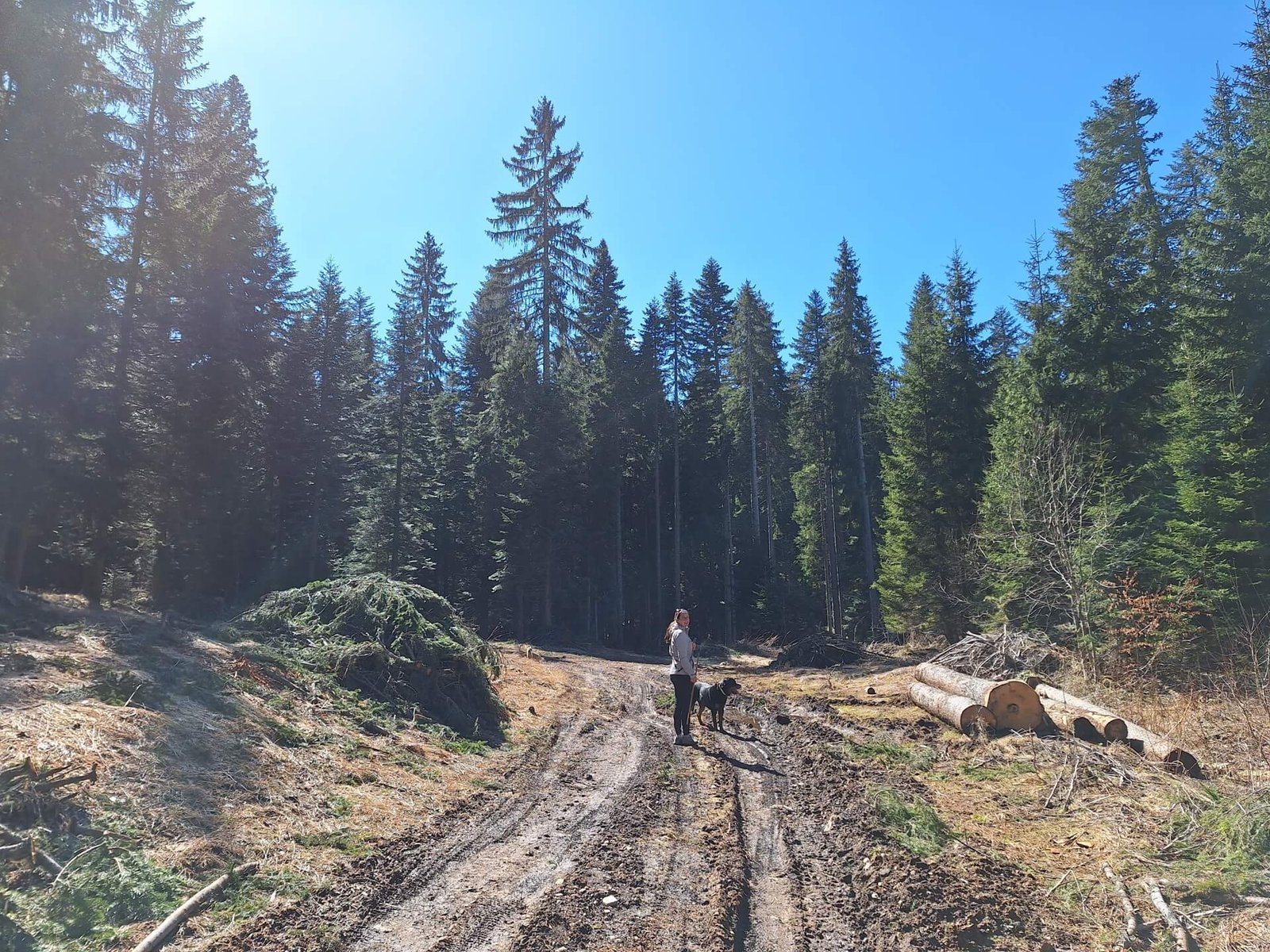 Durmitor Tarakloofwandeling Kitty