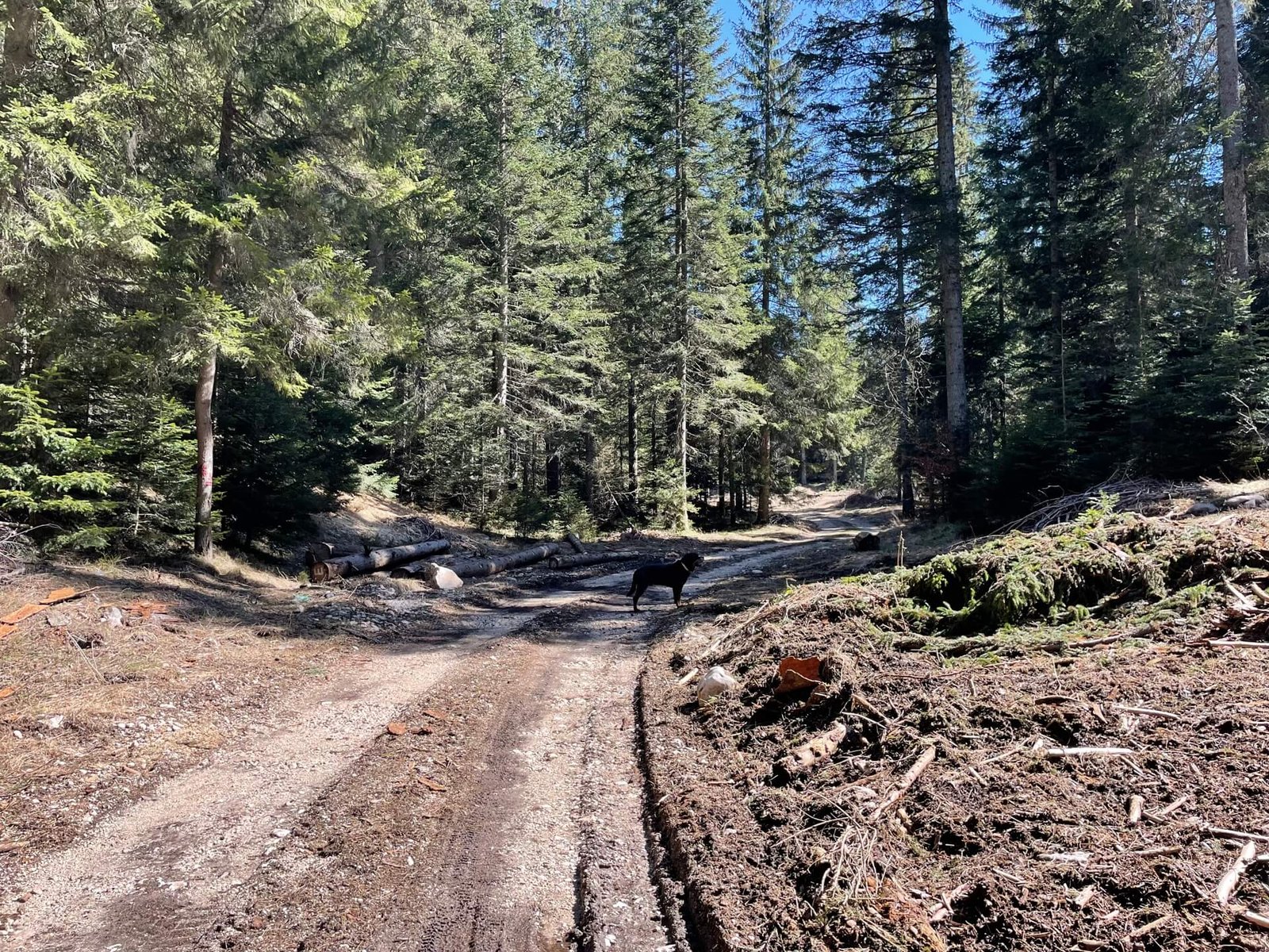 Durmitor Tarakloofwandeling Ruud
