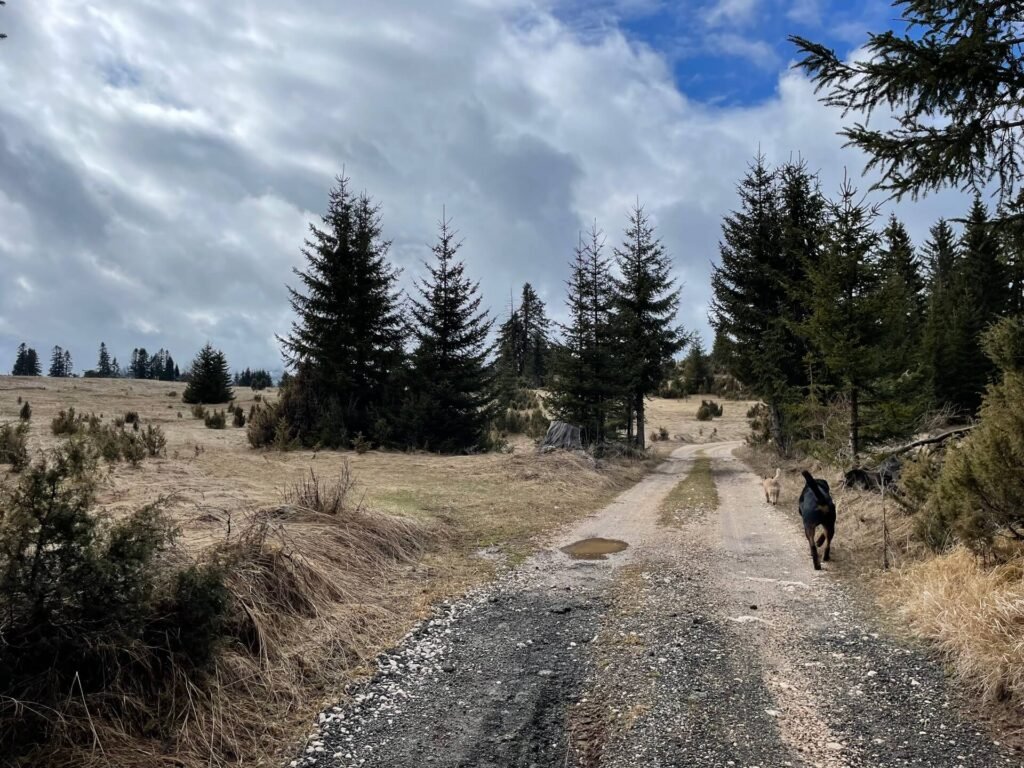 Durmitor wandelen honden