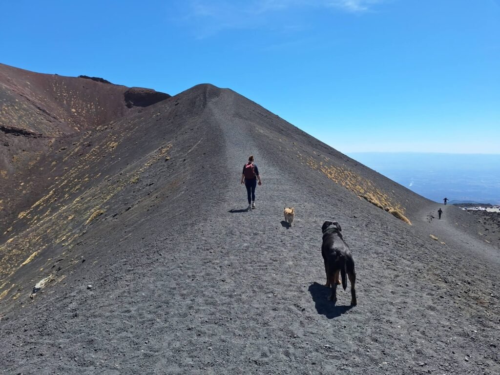 etna silvestri kraters kitty