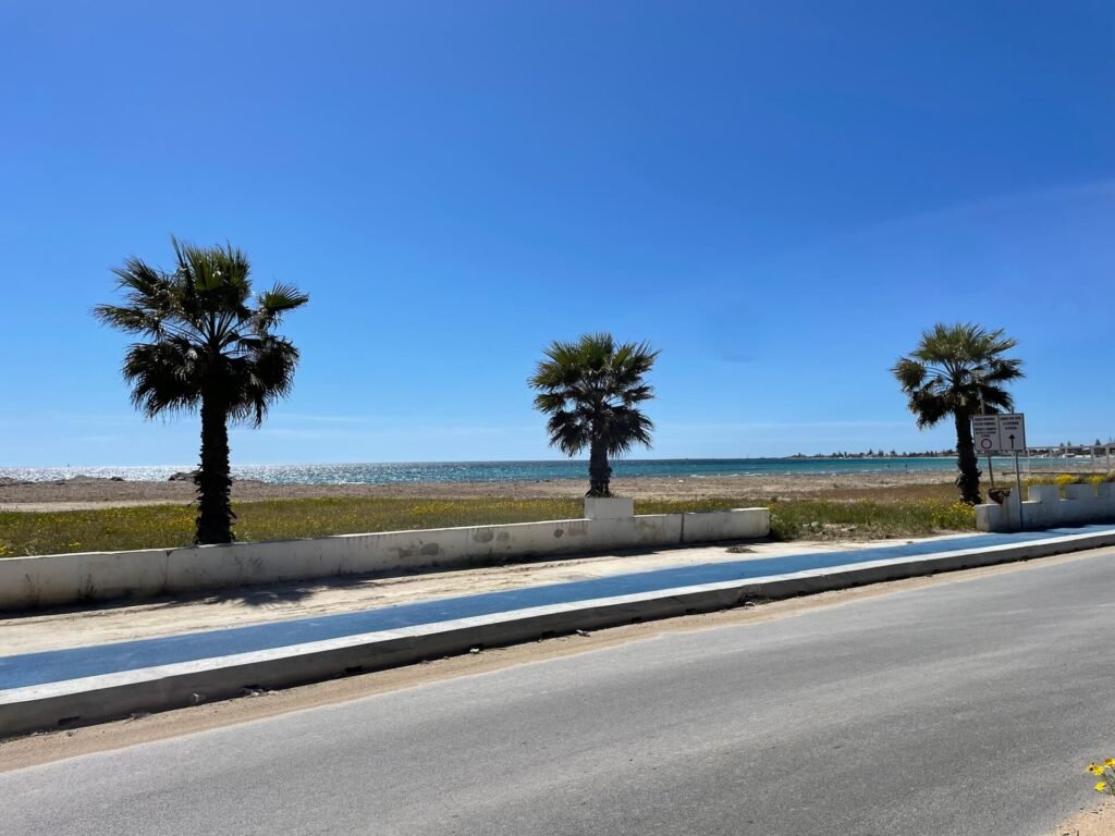 mazara del vallo palmbomen zee