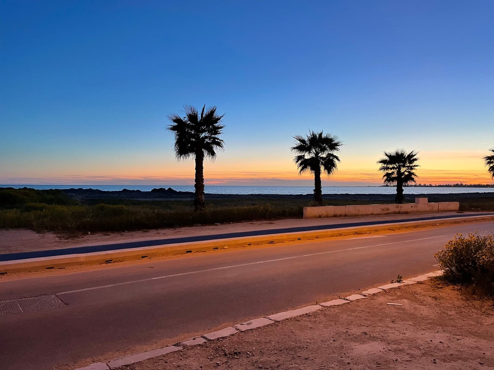 mazara del vallo palmbomen