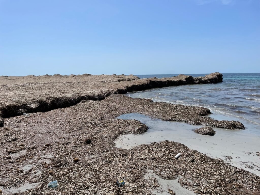 mazara del vallo strand