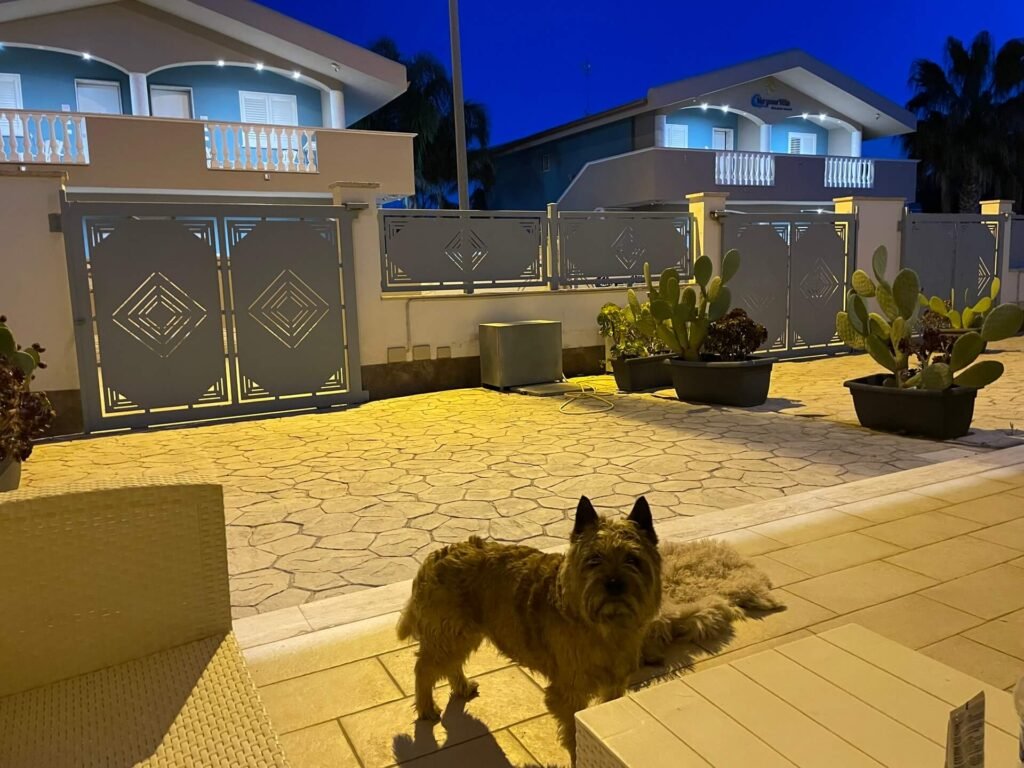 mazara del vallo sud12 tuin james