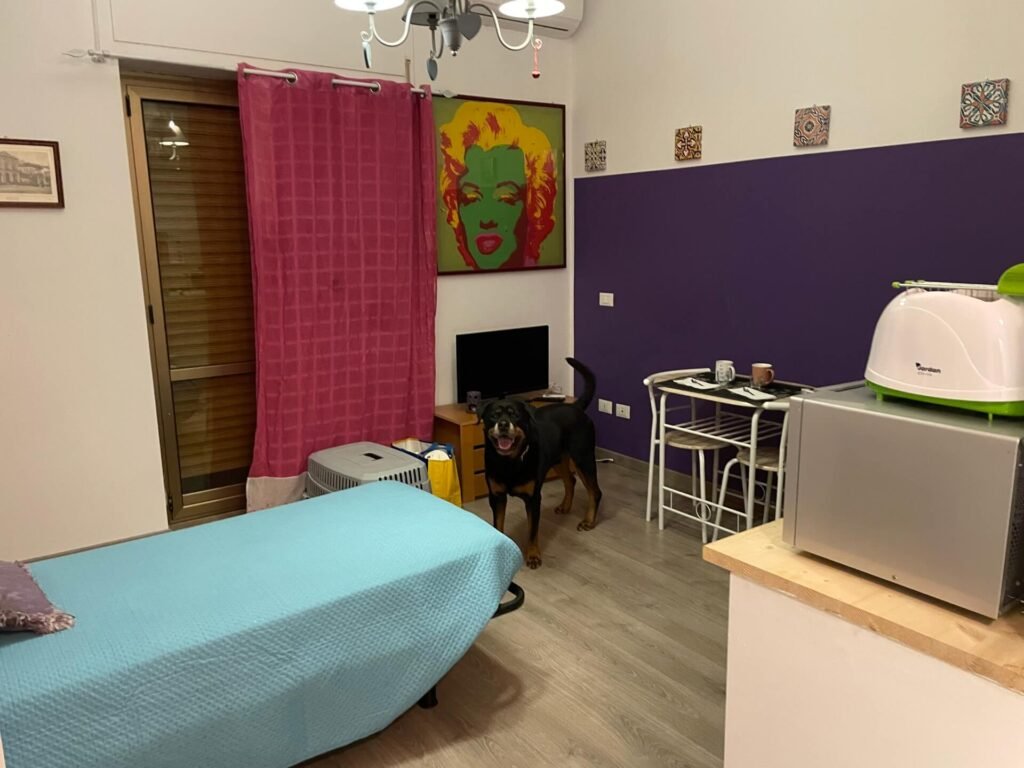 Roadtrip Guesthouse pet friendly Ruud