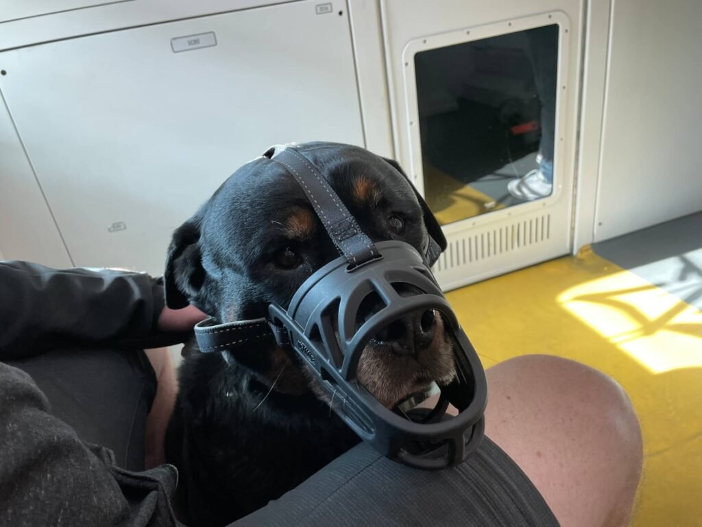 rome trein ruud muilkorf