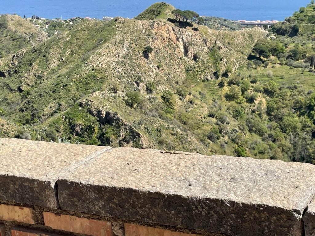 sicilie veel hagedissen