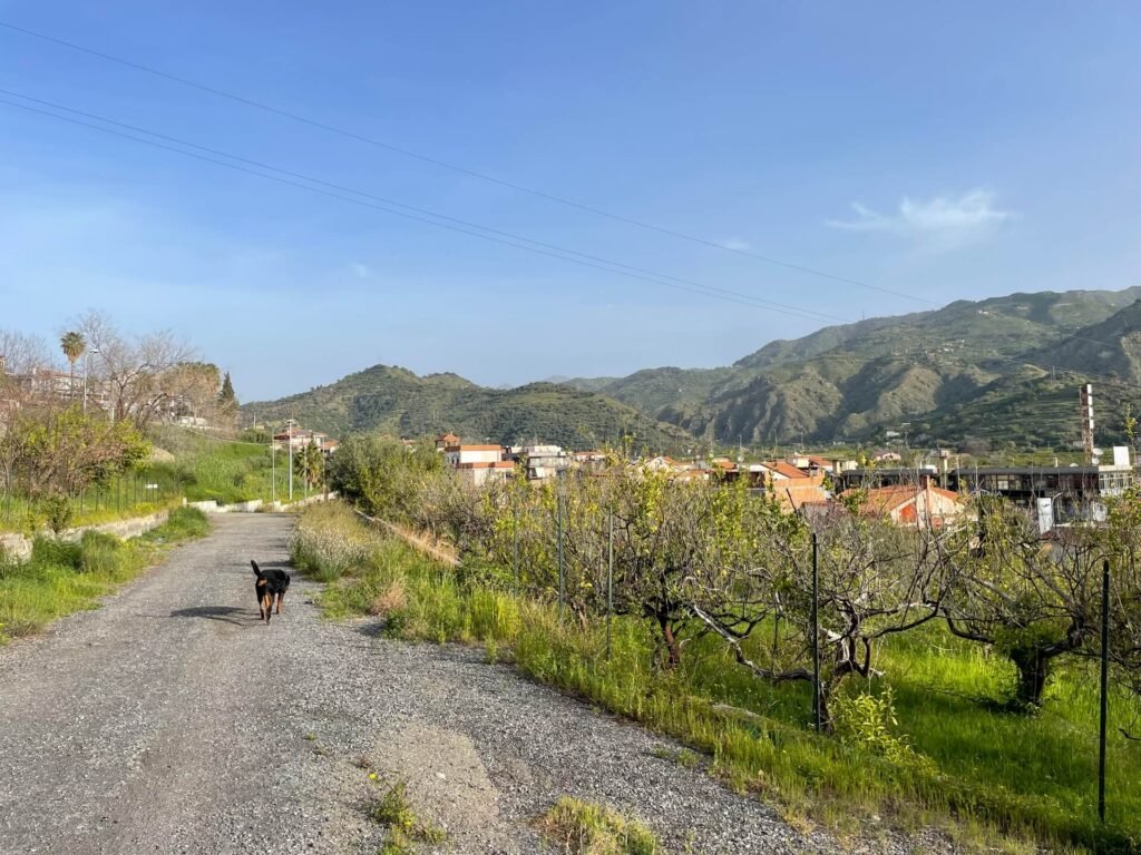 trappitello polderwandelen 1