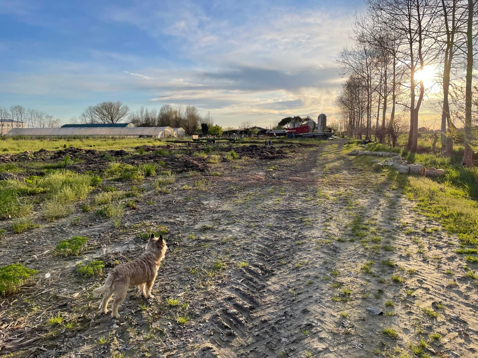 Venetië Agriturismo La Chioccia James