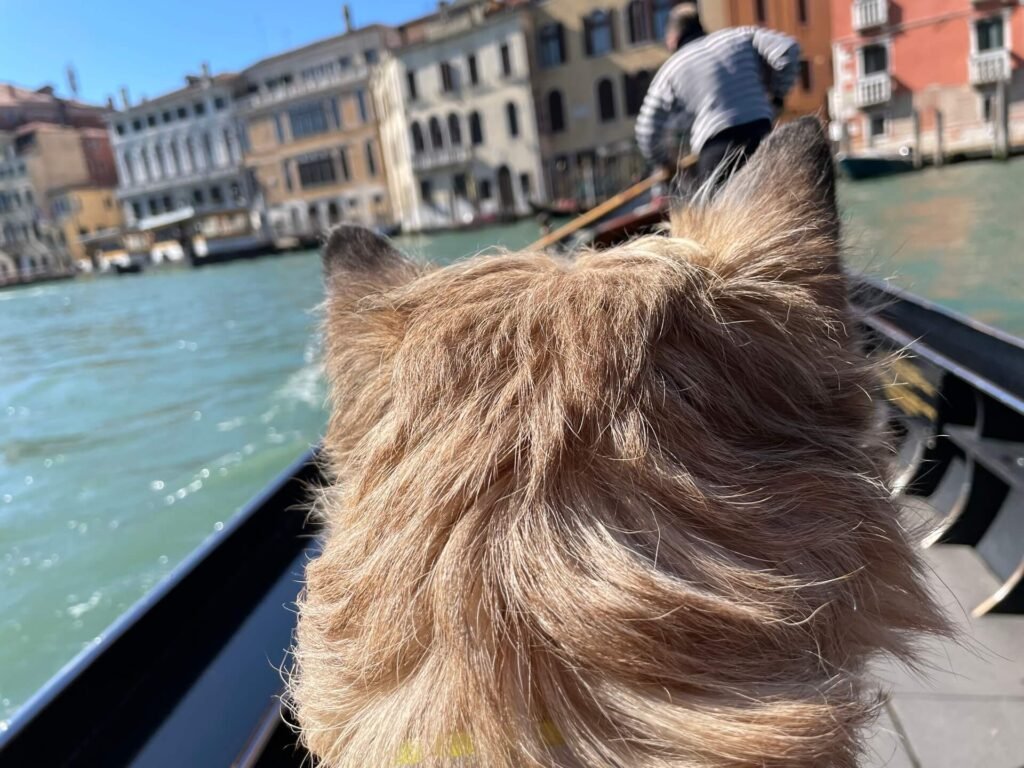 Venetië gondolataxi James