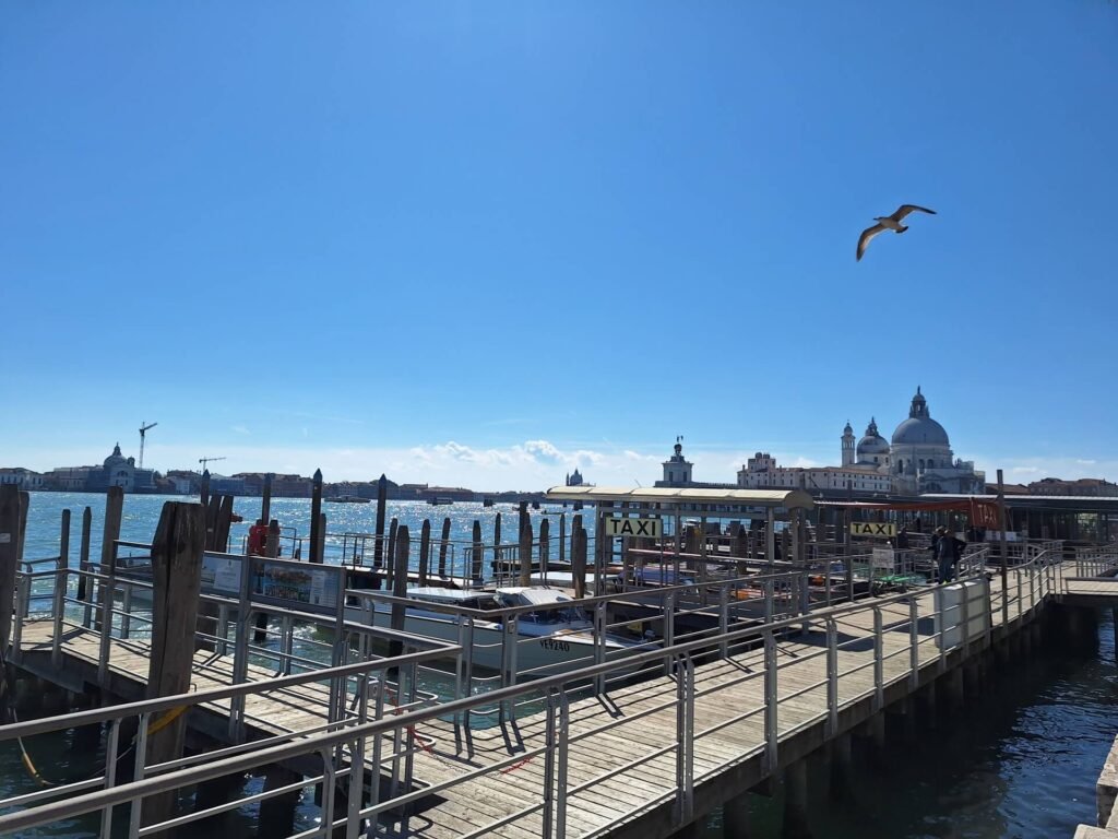 Venetië kade vogel