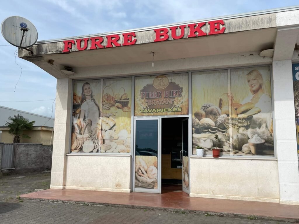 albanie furre buke bakker