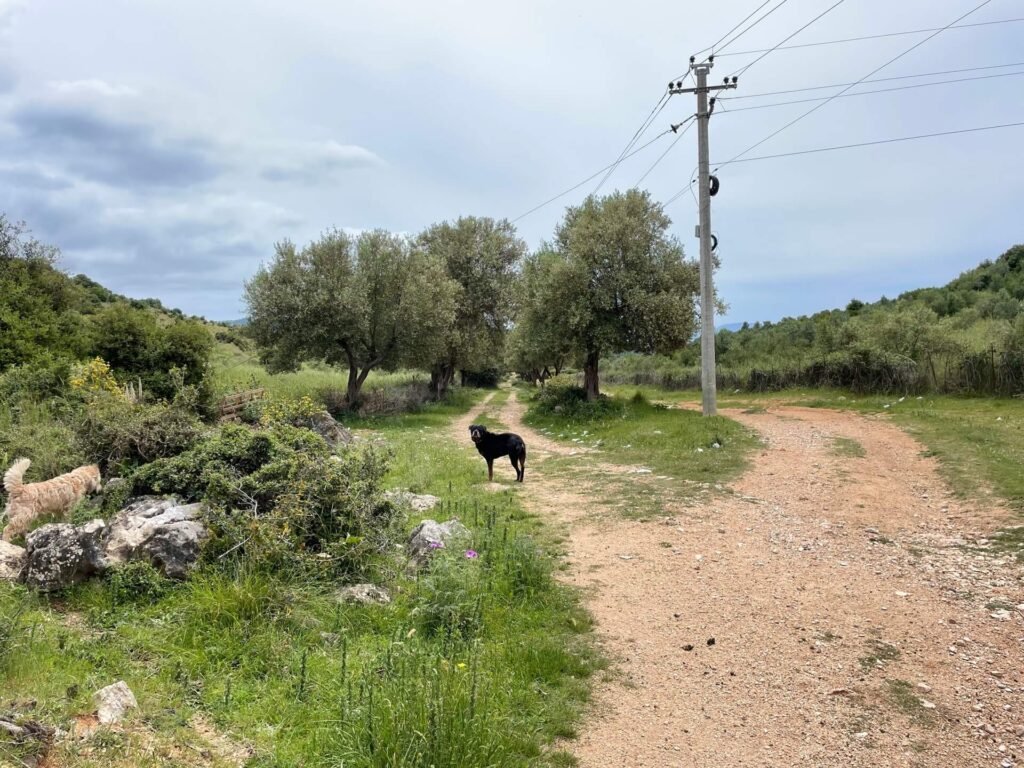 Ksamil polderwandelen