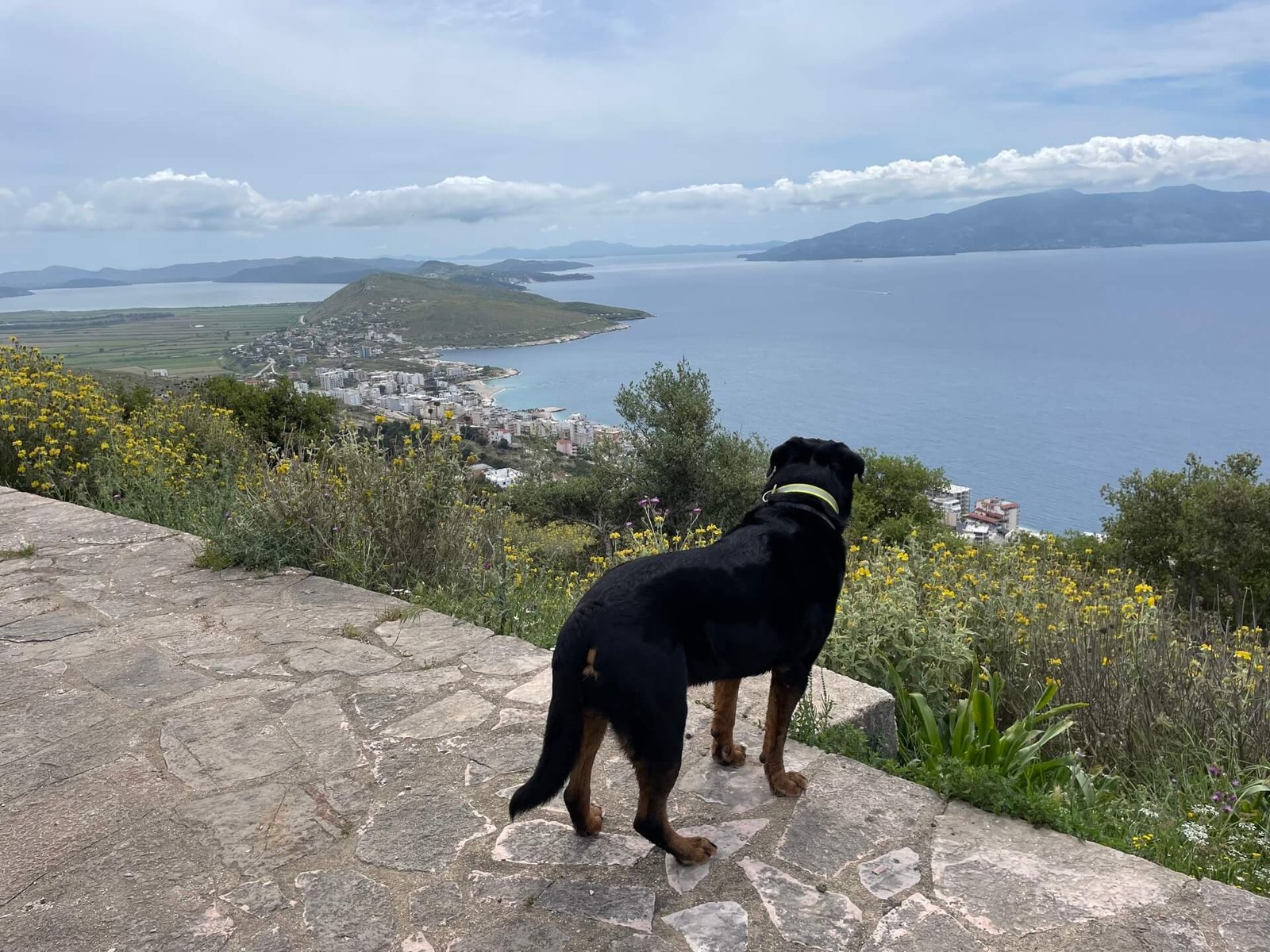 lekuresi kasteel ruud kijkt uit