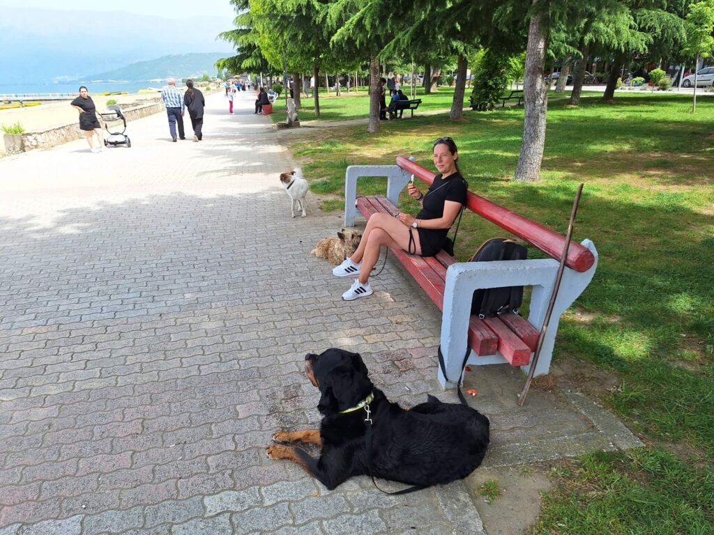 Pogradec boulevard Kitty ijsje