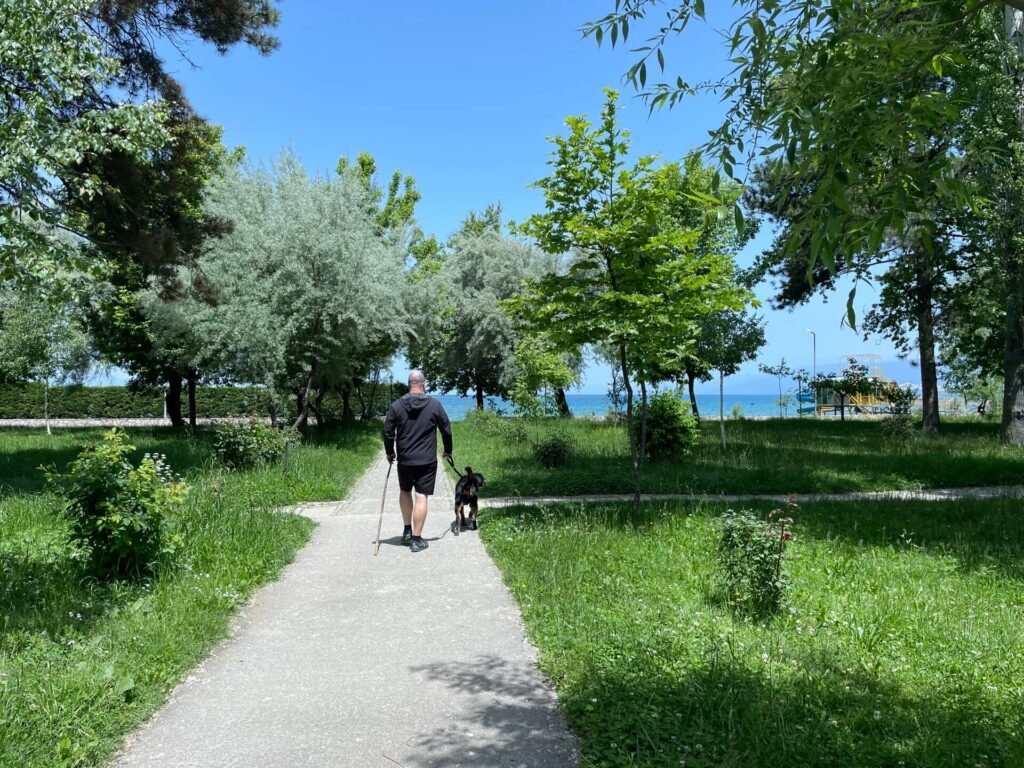 Pogradec Ohridmeer bloei