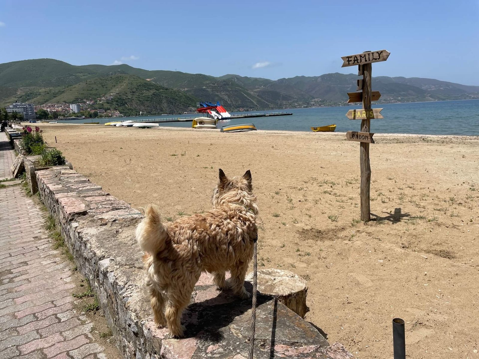 Pogradec strand James