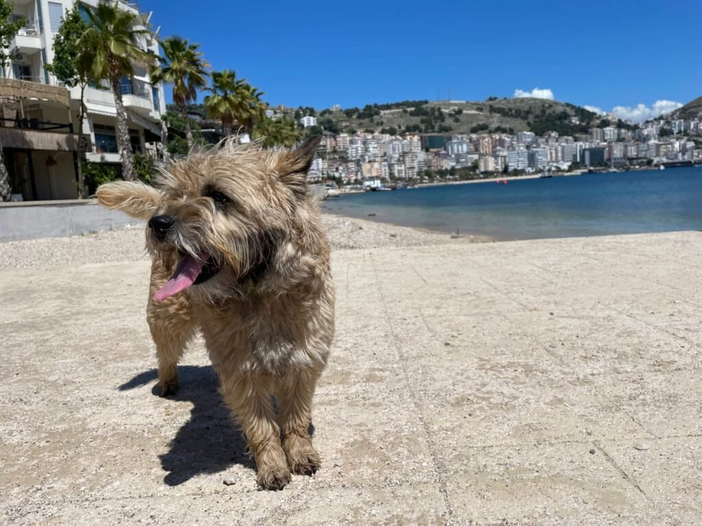 Sarandë beach James