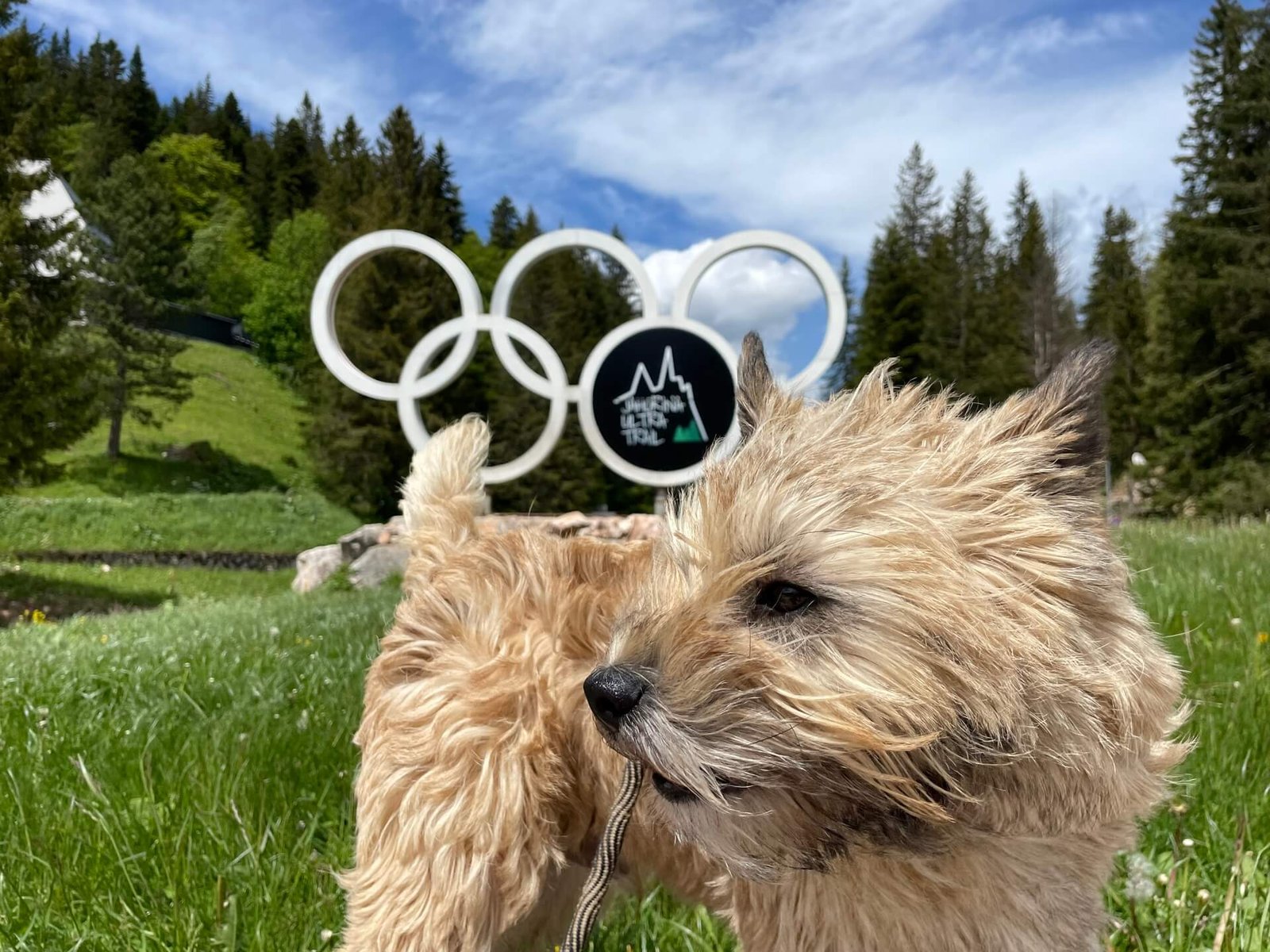 Jahorina Olympics James