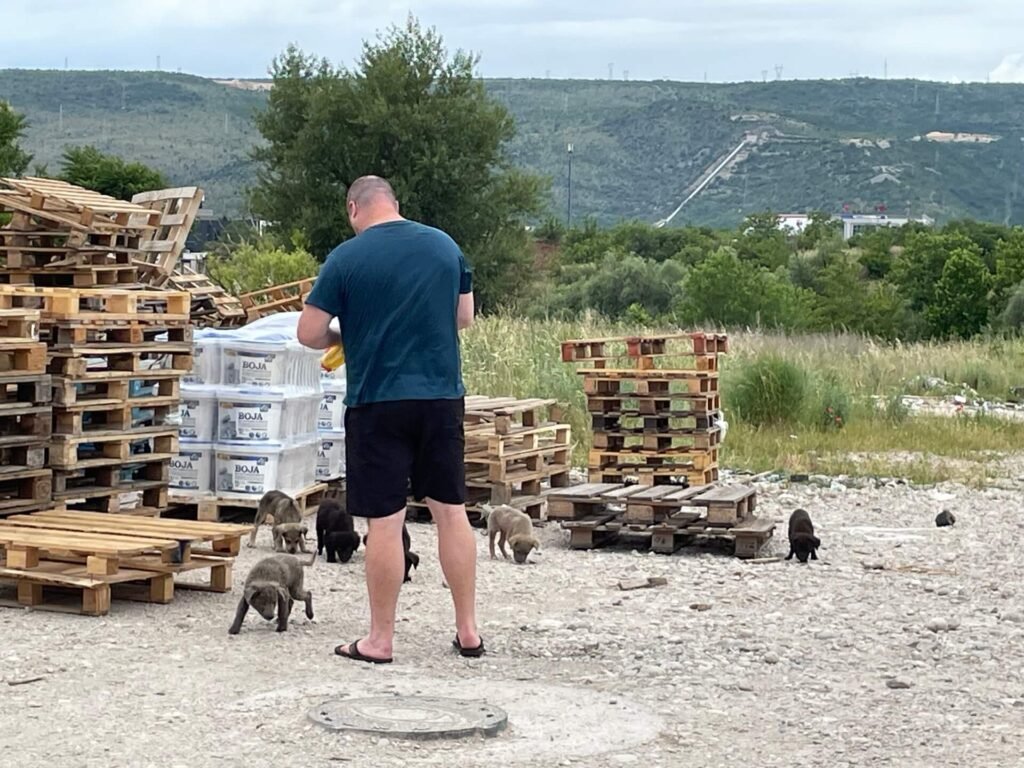 Martijn voert straatpuppies