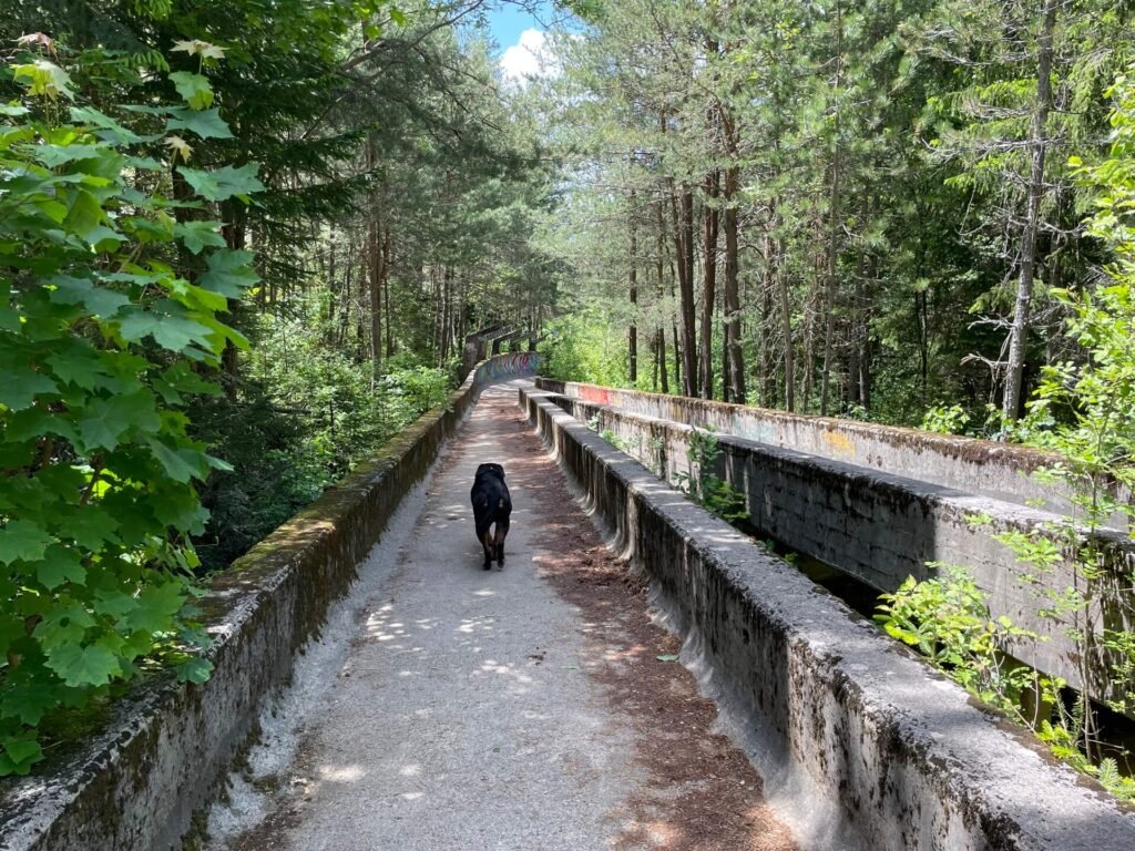 Sarajevo bobsleebaan Ruud