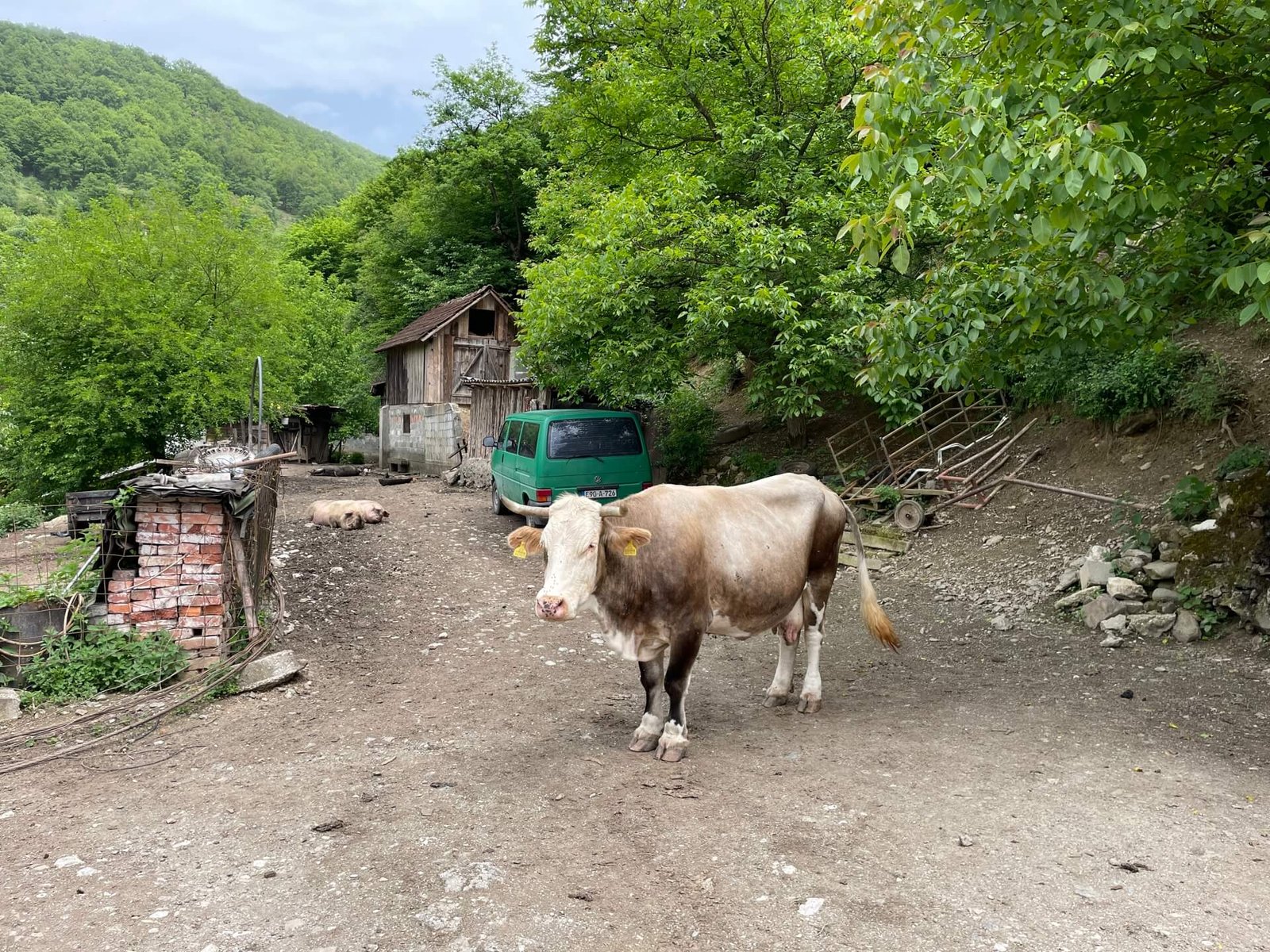 Sutjeska boerderij