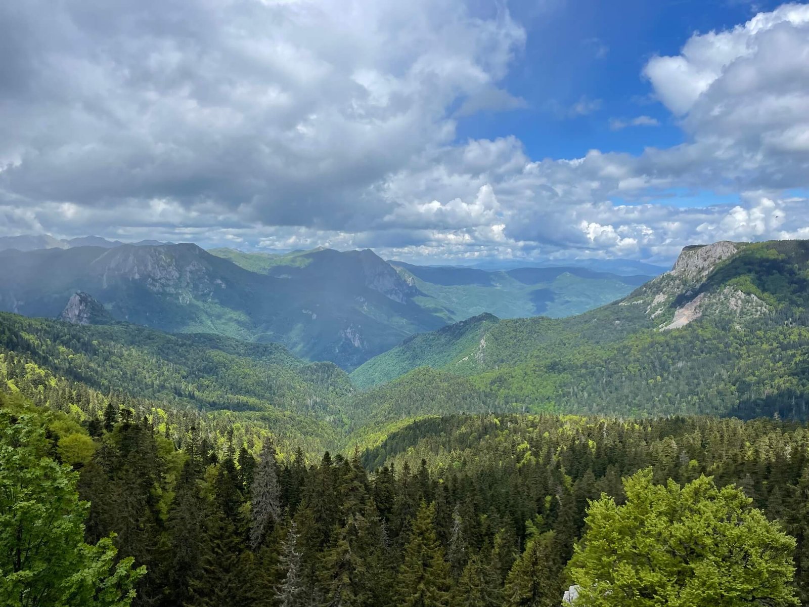 Trnovacko hike horizon