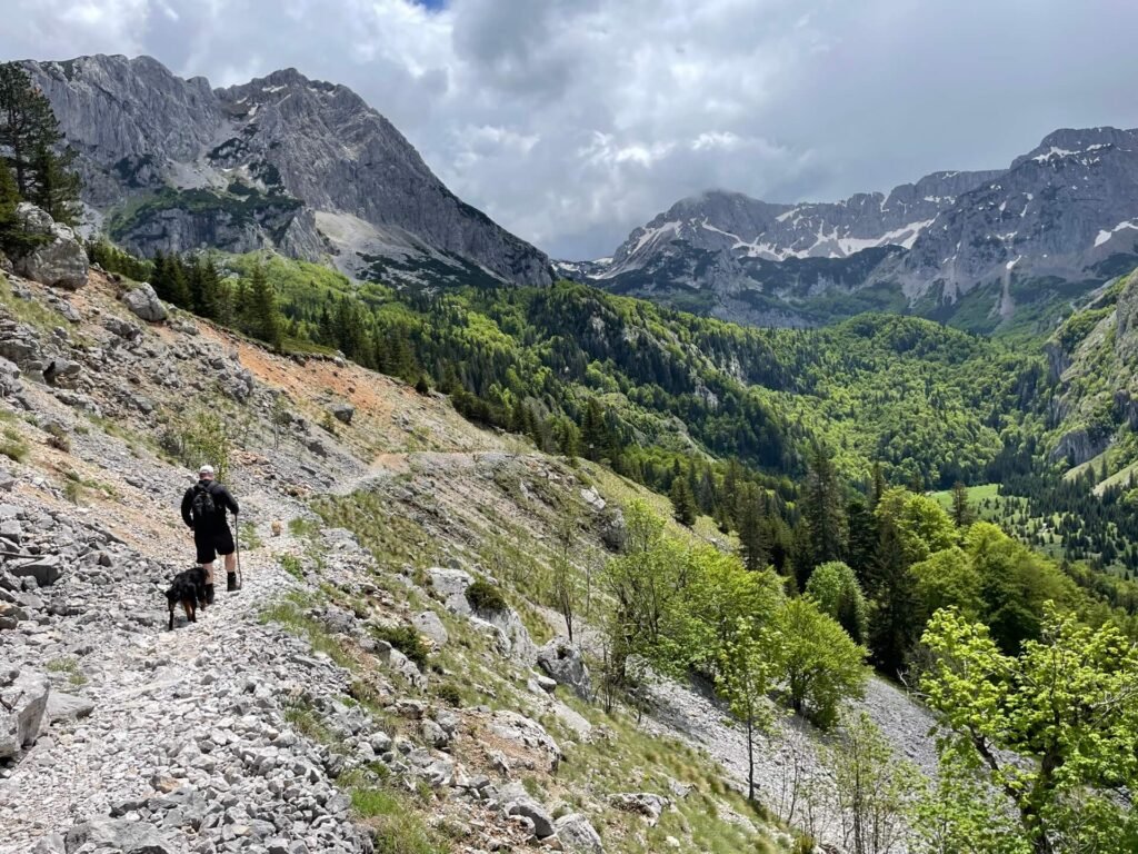 Trnovacko hike Martijn en honden