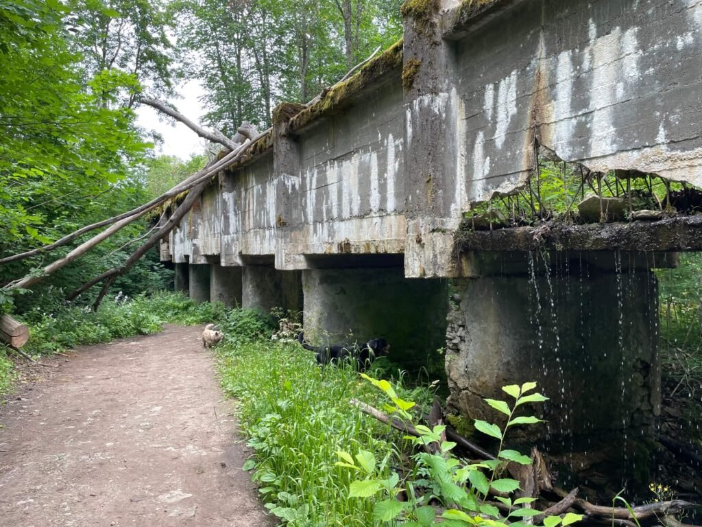 Lahemaa Nommeveski brug