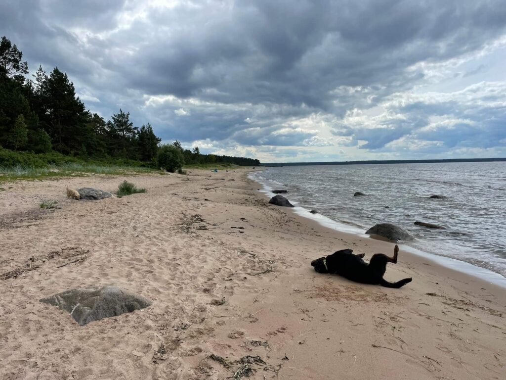 Lahemaa strand Ruud