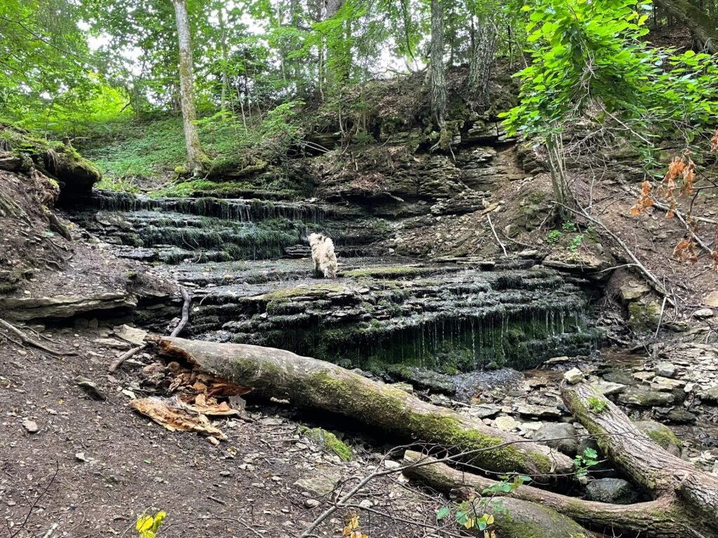 Lahemaa Vasaristi Juga waterval