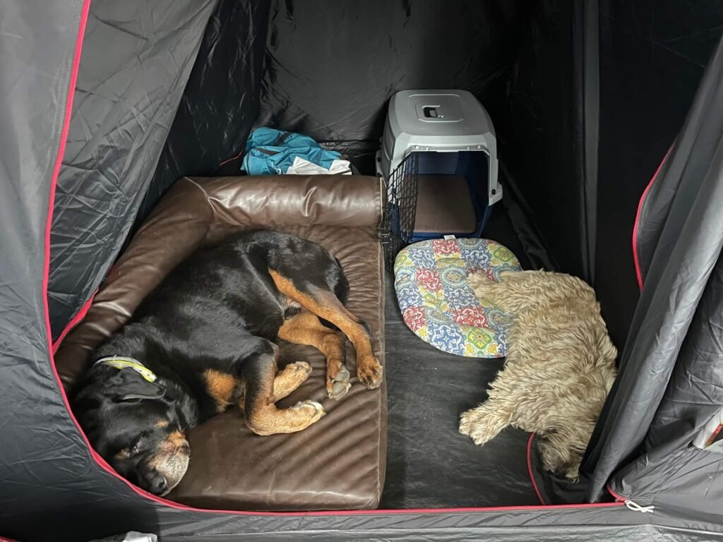 Tentkamperen honden in de slaaptent