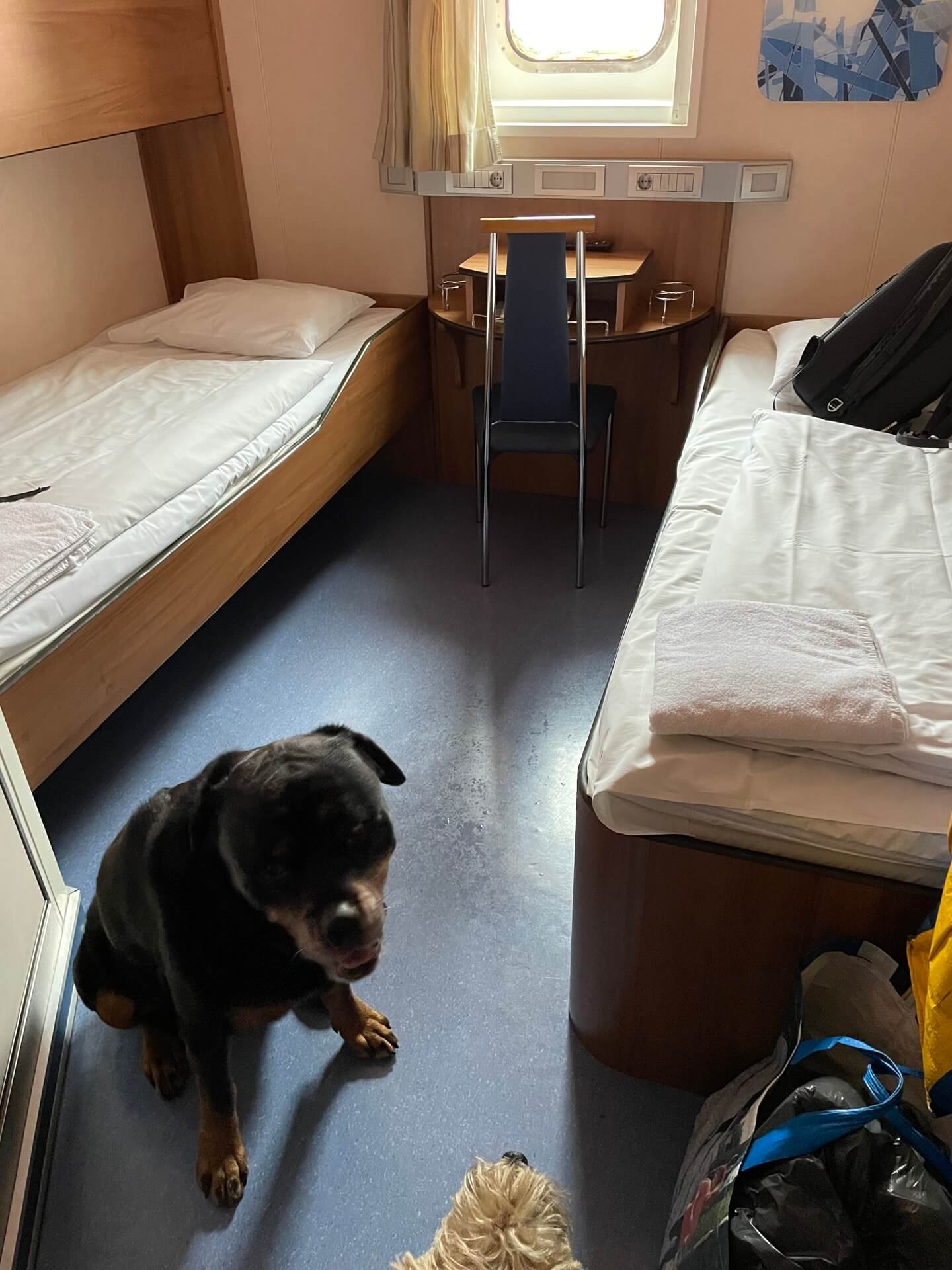 Ferry van Liepaja naar Travemunde huisdierhut