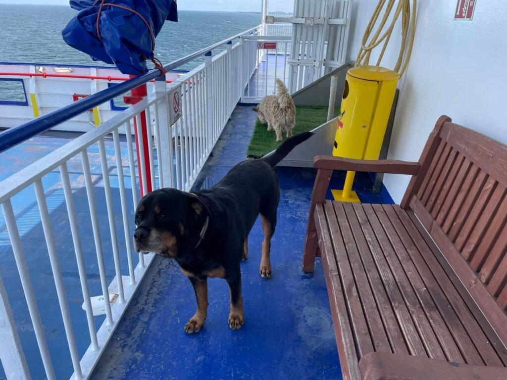 Ferry van Liepaja naar Travemunde Ruud vind het maar vies