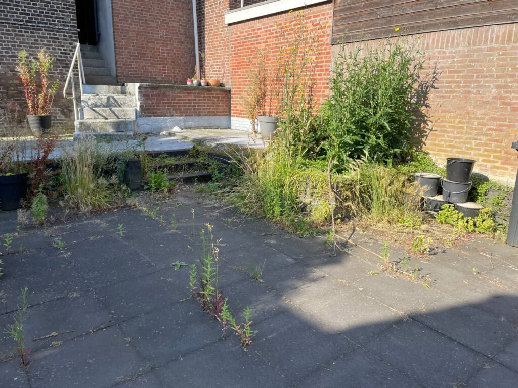 Thuis in de tuin het onkruid vergaat niet