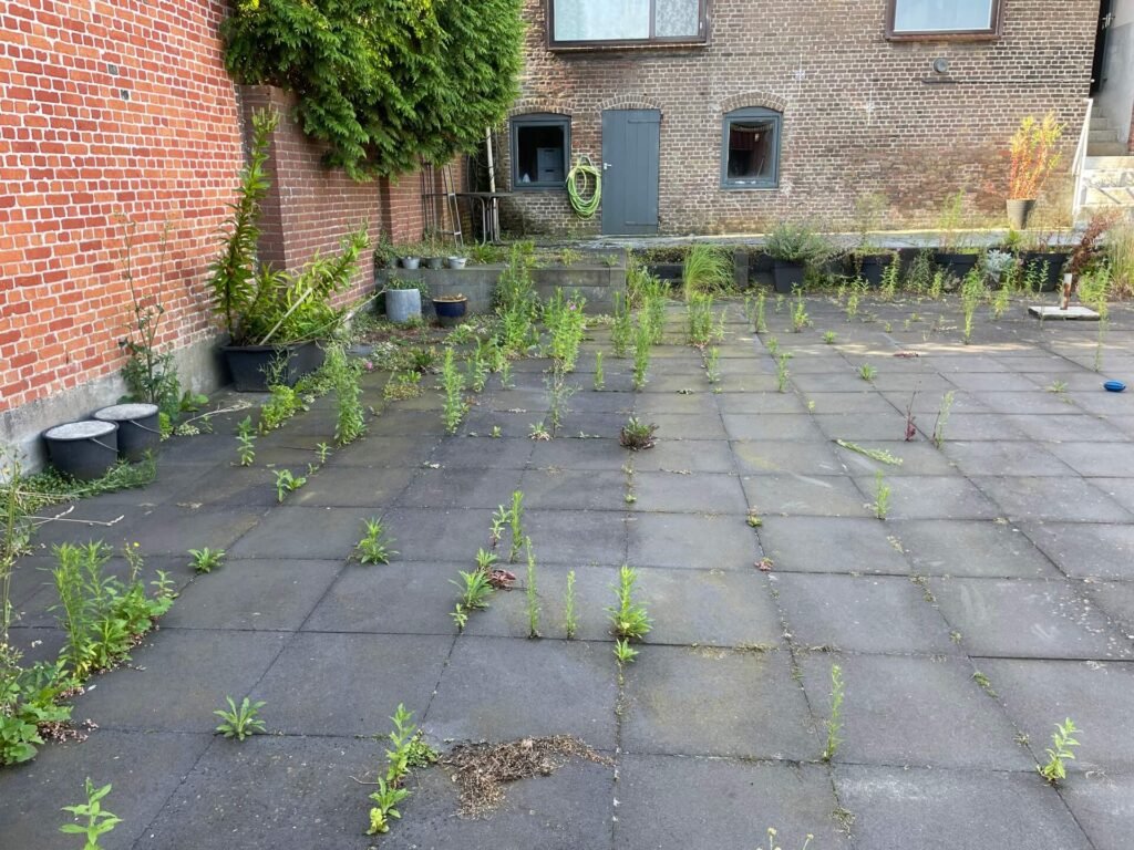 Thuis tuin werk aan de winkel