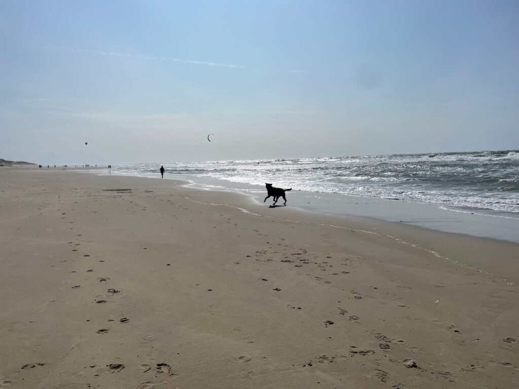 Gouden bruiloft schoonouders op Texel