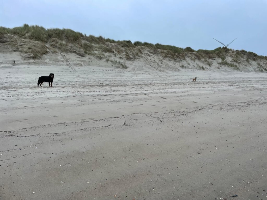 Holland november strand voor jezelf