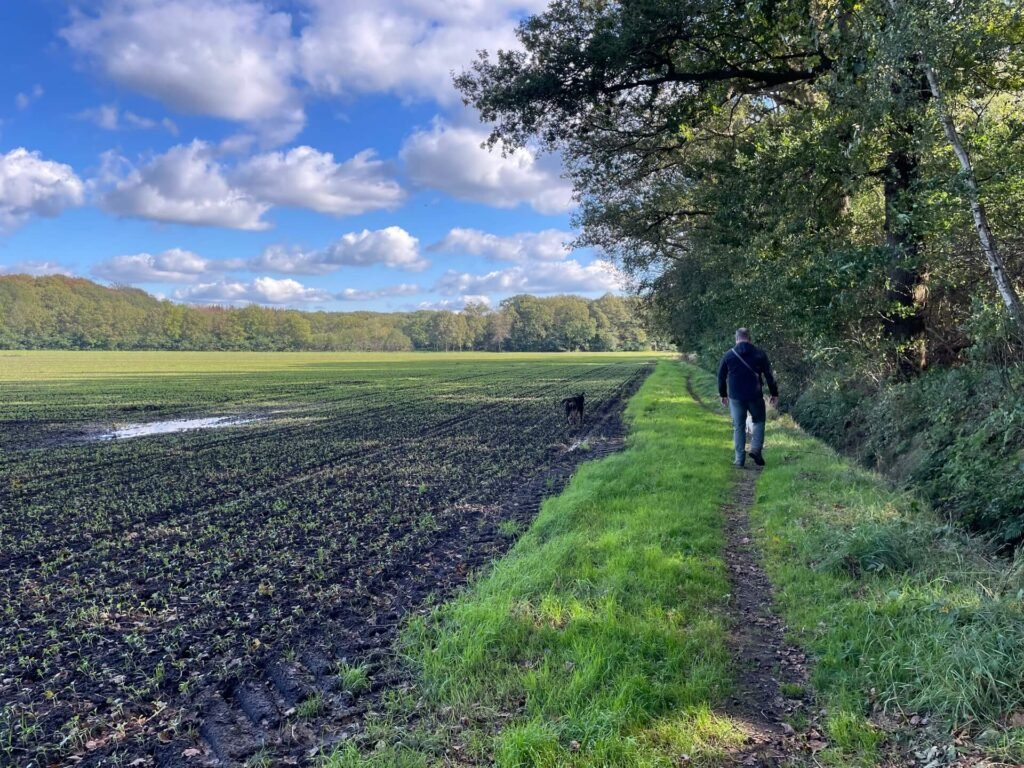 Polderwandelen in Holland