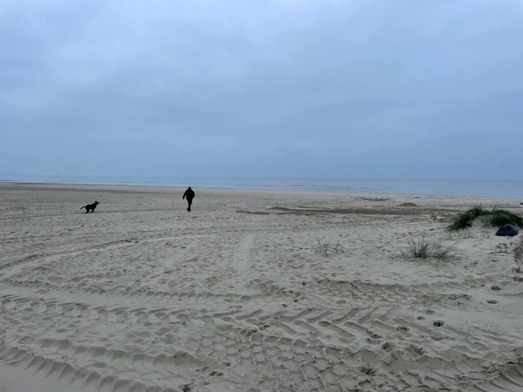 Strand bij Neeltje Jans is ook leuk